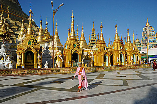 缅甸,仰光,大金塔,穿,粉色,通过,大广场,塔