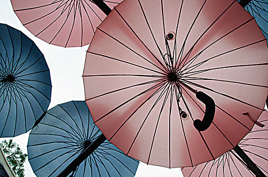 仰视,电灯泡,粉色,蓝色,伞
