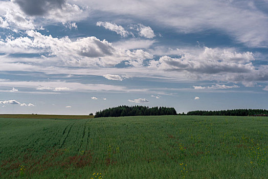 乌兰布统,草原