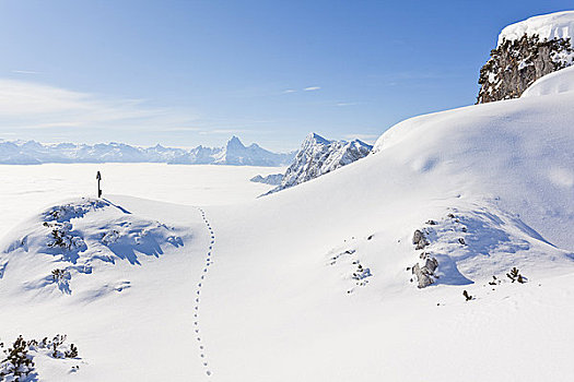 纪念,十字架,痕迹,雪地,山峰,贝希特斯加登阿尔卑斯山,奥地利,俯视图