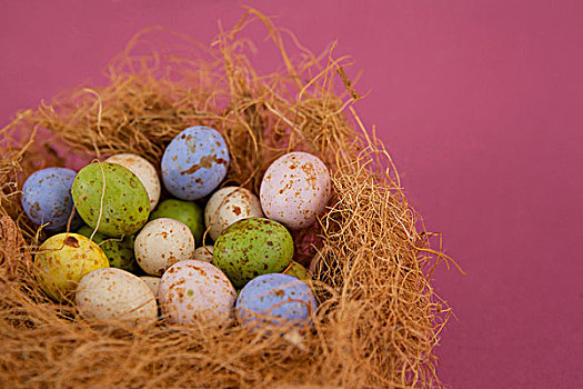 彩色,巧克力,复活节彩蛋,鸟窝,特写