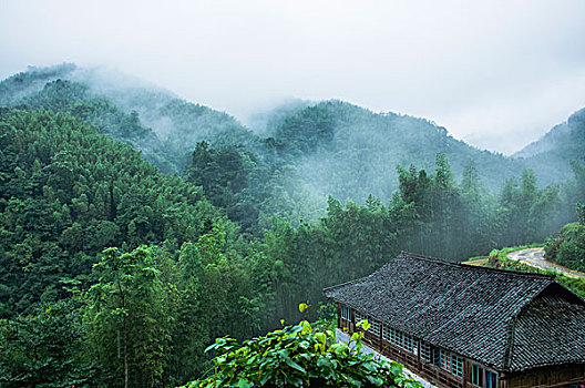 雨雾山景