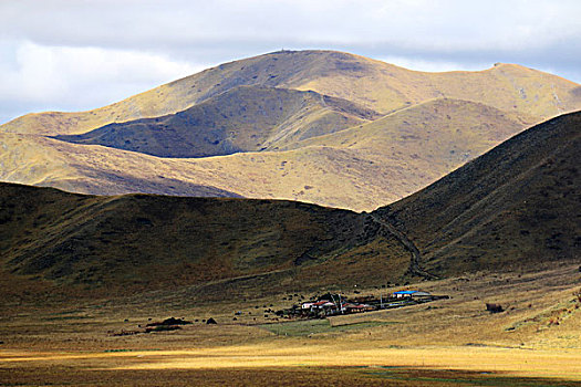 高原草场