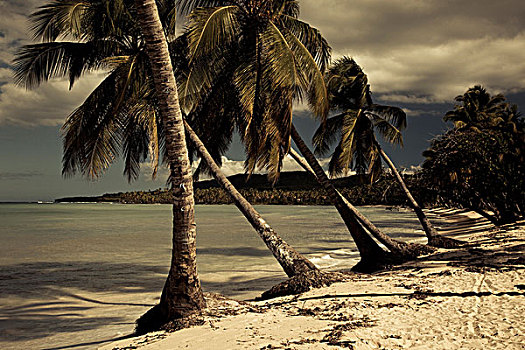 多米尼加共和国,干盐湖,海滩