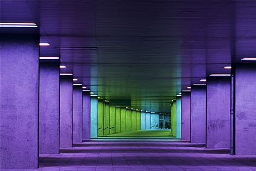 荷兰,鹿特丹,建筑师,紫色