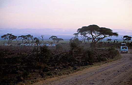 肯尼亚,安伯塞利国家公园,公园,游客