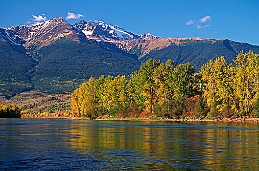 河,金色,树,山峦,不列颠哥伦比亚省,加拿大