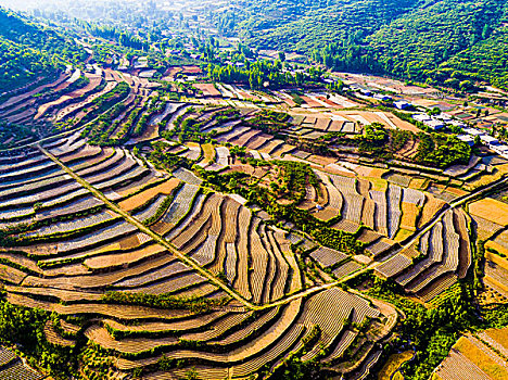 山东沂蒙山梯田