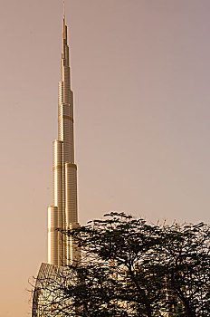 哈利法,最高,建筑,世界,市区,迪拜,阿联酋