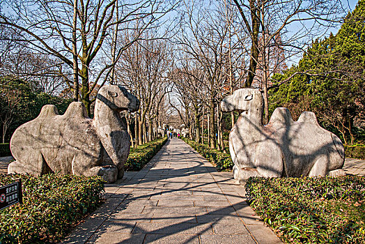 江苏南京钟山明孝陵石象路神道