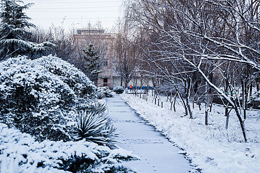 雪景