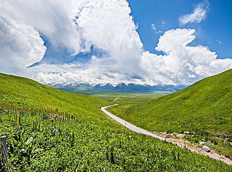 新疆那拉提天山峡谷