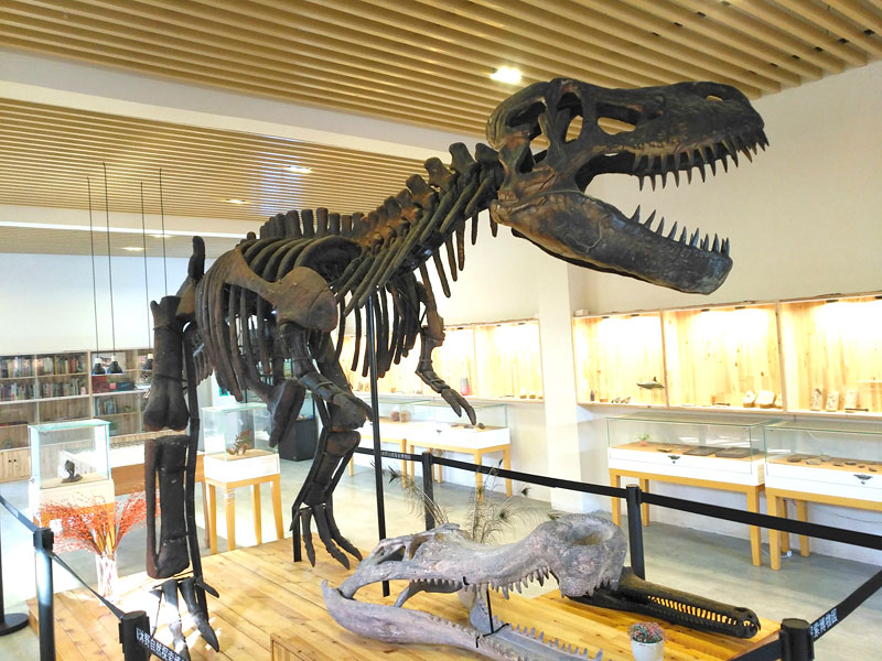 木化石恐龙园图片