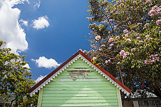 仰视,绿色,小屋,花,树,留尼汪岛