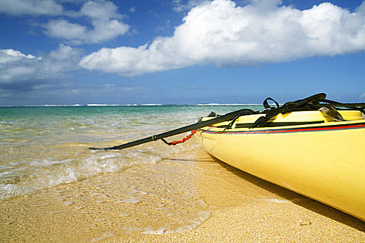 夏威夷,考艾岛,海滩,黄色,漂流,海岸