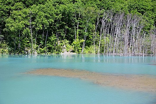 蓝色,河,美瑛