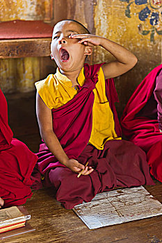年轻,僧侣,哈欠,学习,普那卡,地区,不丹