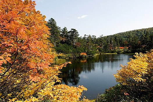 温泉,秋叶