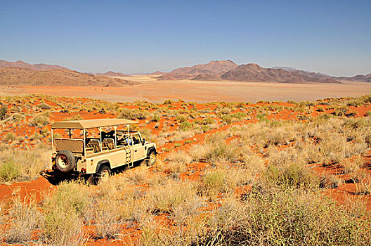旅游,交通工具,沙丘,住宿,高,草,风景,纳米比沙漠,兰特,自然,自然保护区,纳米布沙漠,纳米比亚,非洲