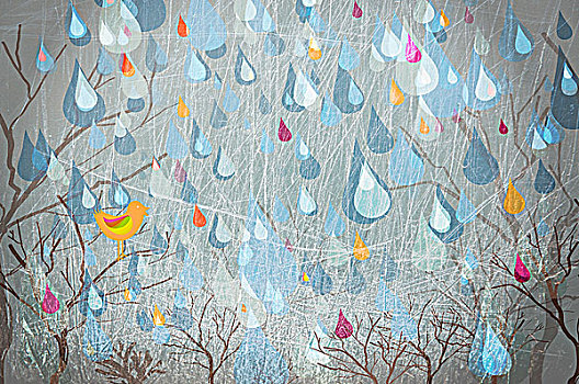 雨滴,落下,树,鸟