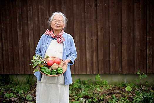 老太太,灰发,站立,花园,拿着,篮子,新鲜,蔬菜,看镜头,微笑