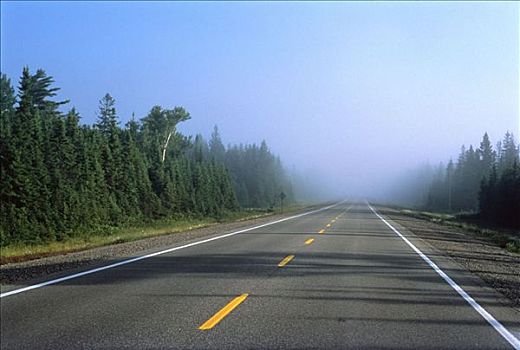 道路,薄雾,公路,安大略省,加拿大