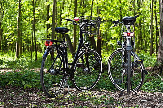 两个,自行车,站立,树林,北莱茵-威斯特伐利亚,德国,欧洲
