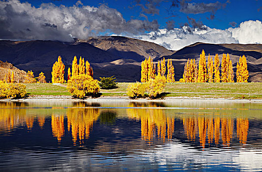 山景,秋色,湖,新西兰