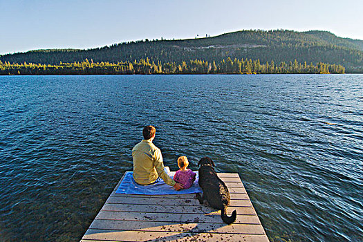 父亲,孩子,狗,坐,码头,太阳,湖,靠近,加利福尼亚