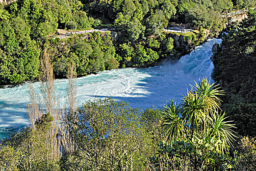 胡卡瀑布,河,陶波,北岛,新西兰