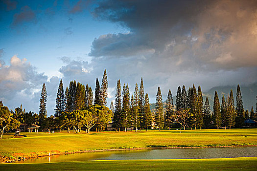 考艾岛,夏威夷,美国,高尔夫球场,普林斯维尔,区域,海岸线