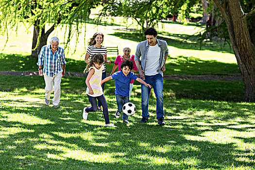 微笑,家庭,玩,足球,花园
