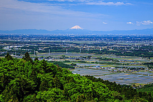 朴素,山,富士山