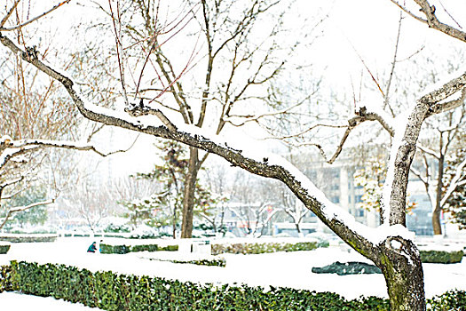 古城雪景