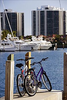 自行车停放,码头