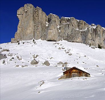 冬天,顶峰,旅游,阿尔卑斯山,瑞士