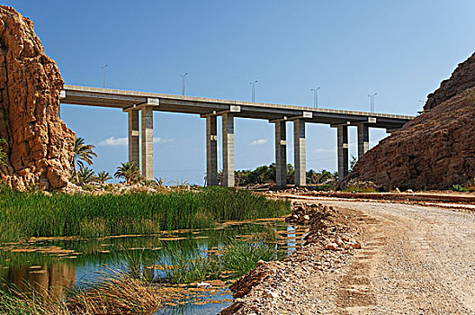 桥,公路,马斯喀特,靠近,旱谷,阿曼,中东