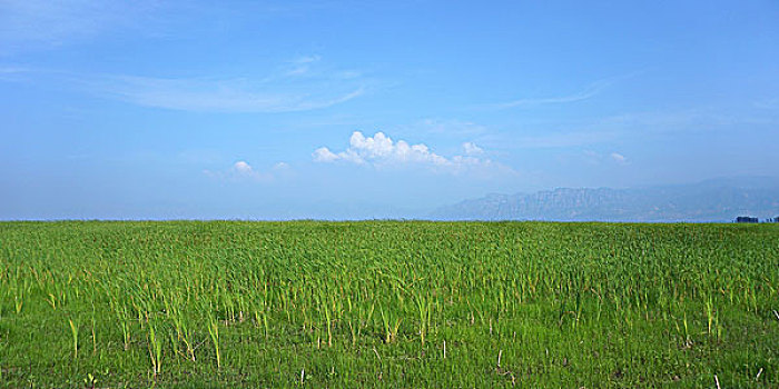 阿尔山