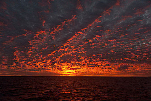 日落,上方,太平洋,海洋,加拉帕戈斯