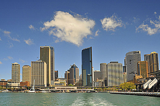 风景,环形码头,悉尼,商务区,中心,澳大利亚