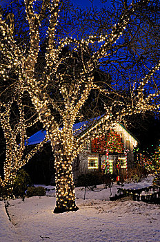 加拿大,不列颠哥伦比亚省,维多利亚,圣诞灯光,布查特花园