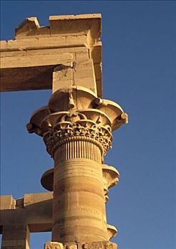 埃及,靠近,菲莱神庙,特写,柱子