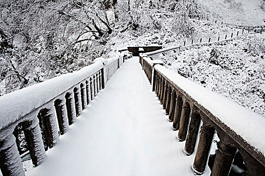 哥伦比亚河峡谷国家风景区,俄勒冈,美国,雪,遮盖,小路,树林