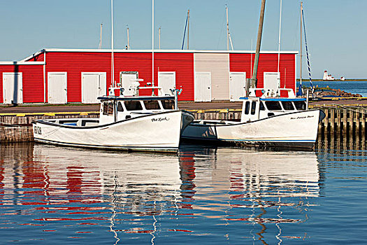 渔船,捆绑,码头,爱德华王子岛,加拿大