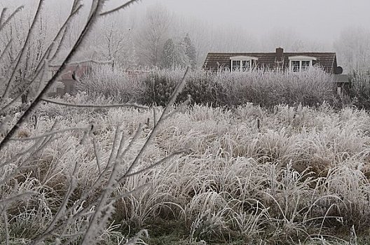 房子,霜冻,草,荷兰
