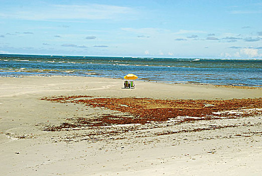 brazil,pernambuco,ilha,de,itamaraca,two,parasols,with,beach,chairs,laying,alone,on,the,sand