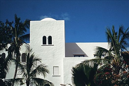 白色,建筑,叶子,棕榈树,加勒比海