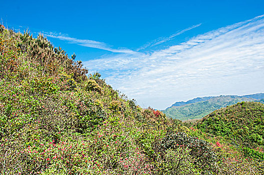 山岭风光