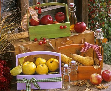 榅桲树,梨,苹果,木质,果汁,瓶子