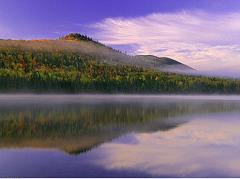 俯视,湖,树,省立公园,新布兰斯维克,加拿大